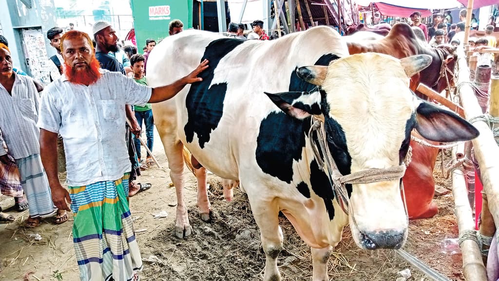 ডিজিটাল হাটে বিক্রি কম