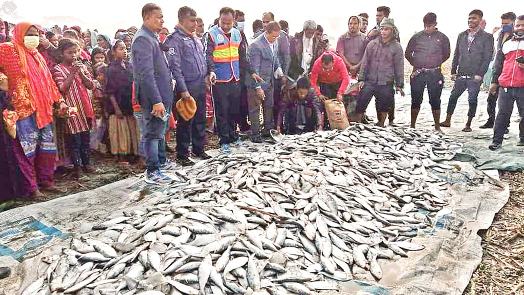 জাটকা জব্দ, ৬ জনের কারাদণ্ড