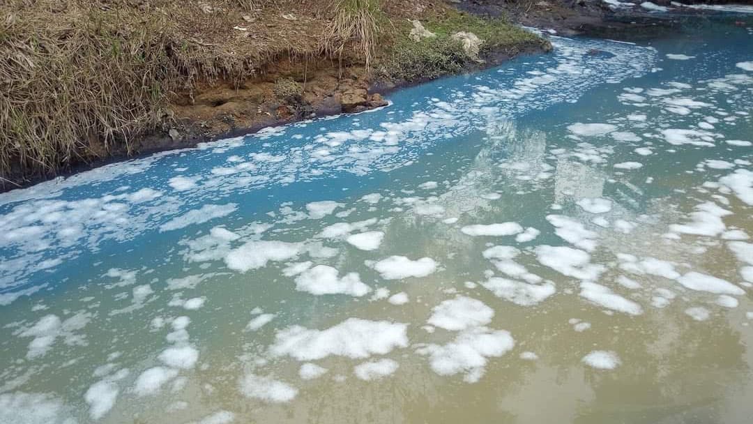 বর্জ্যে ধ্বংস খাল, জীববৈচিত্র্য