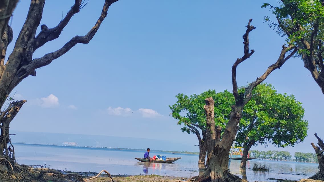 হাওরে অবাধে বৃক্ষ নিধন