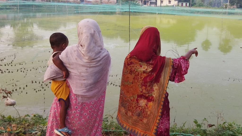 বগুড়ায় সরকারি পুকুরে মাছ চাষ, রাজস্ব হারাচ্ছে সরকার