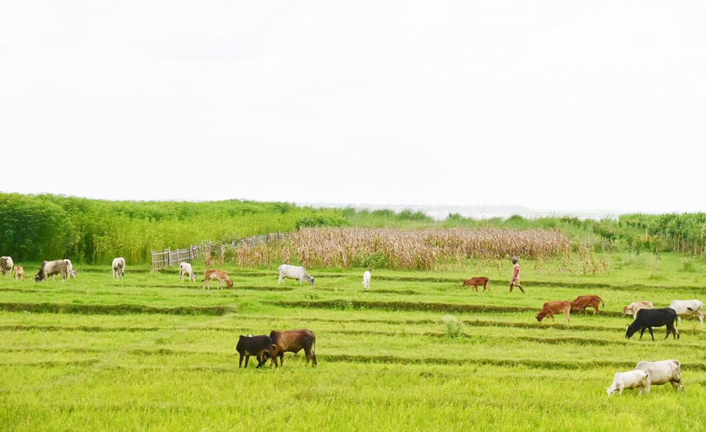 দিনের ছবি (২৫ জুলাই, ২০২৩)