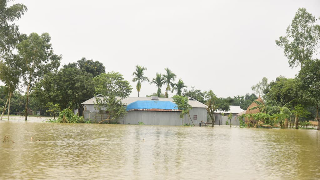 ঘরে বন্যার পানি, বাঁধে আশ্রয়