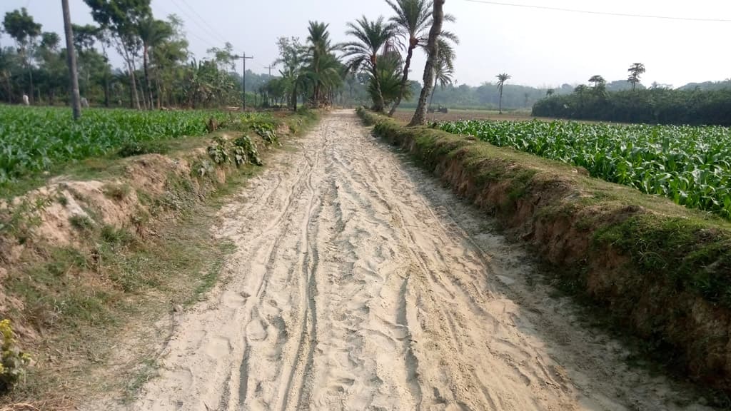 রাস্তা খুঁড়ে পাঁচ মাস ধরে ফেলে রেখেছেন ঠিকাদার