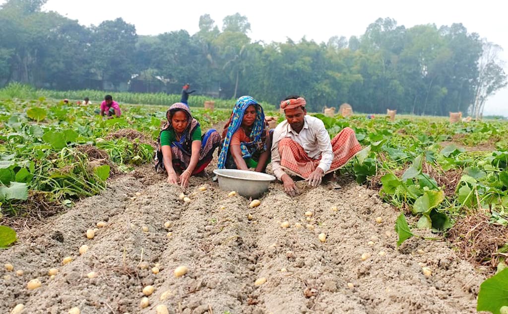 দিনের ছবি (২৮ জানুয়ারি, ২০২৪)