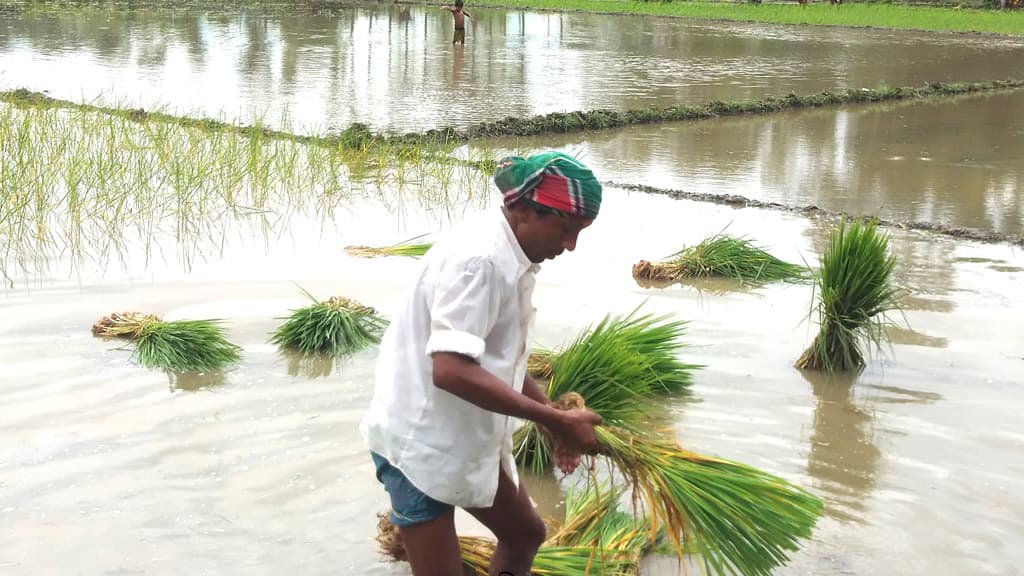 ‘কৃষক হওয়াটাই বড় অন্যায়’