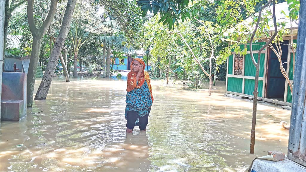 তিতাসে ৩ গ্রামের প্রায় বাড়িতেই হাঁটুপানি