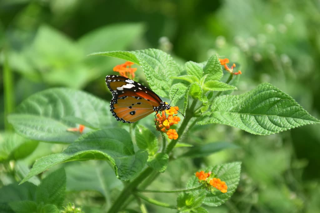 দিনের ছবি (০৭ আগস্ট, ২০২৪)