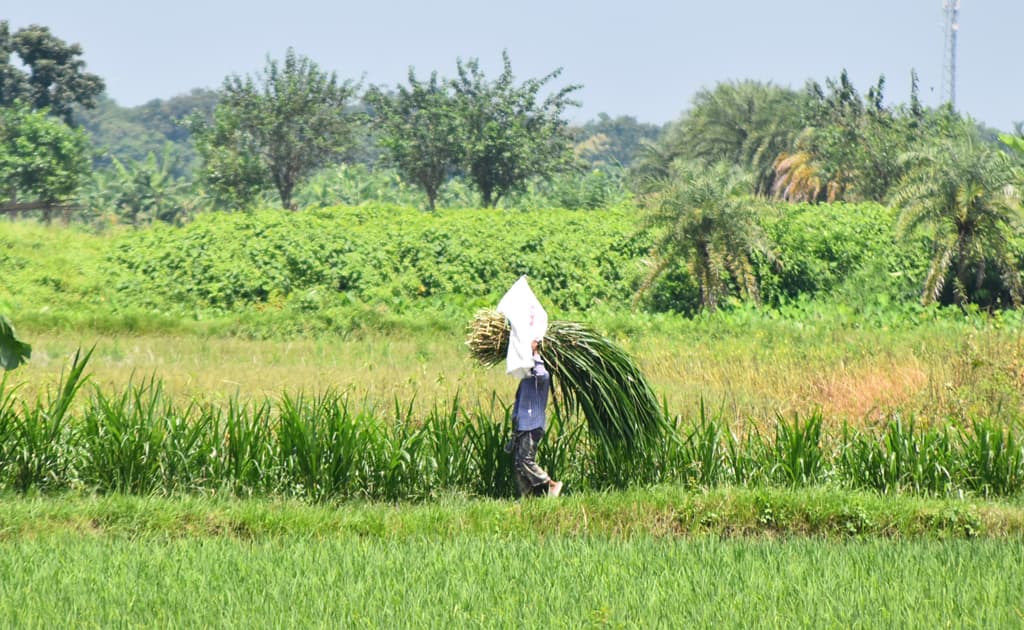 দিনের ছবি (৮ সেপ্টেম্বর, ২০২৪)