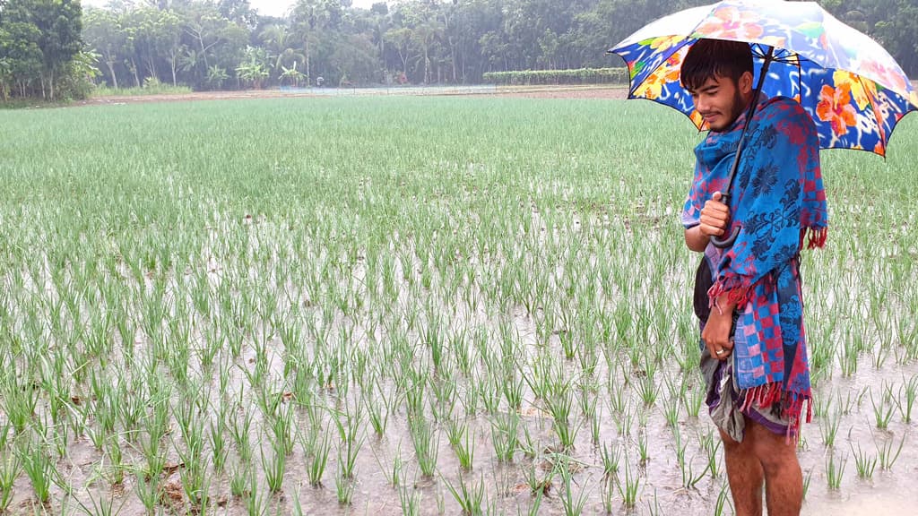 ২০ হাজার হেক্টর ফসলের ক্ষতি