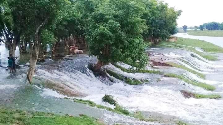 হাওরে ঢুকছে ঢলের পানি, শ্রমিক সংকটে তলিয়ে যাচ্ছে ফসল