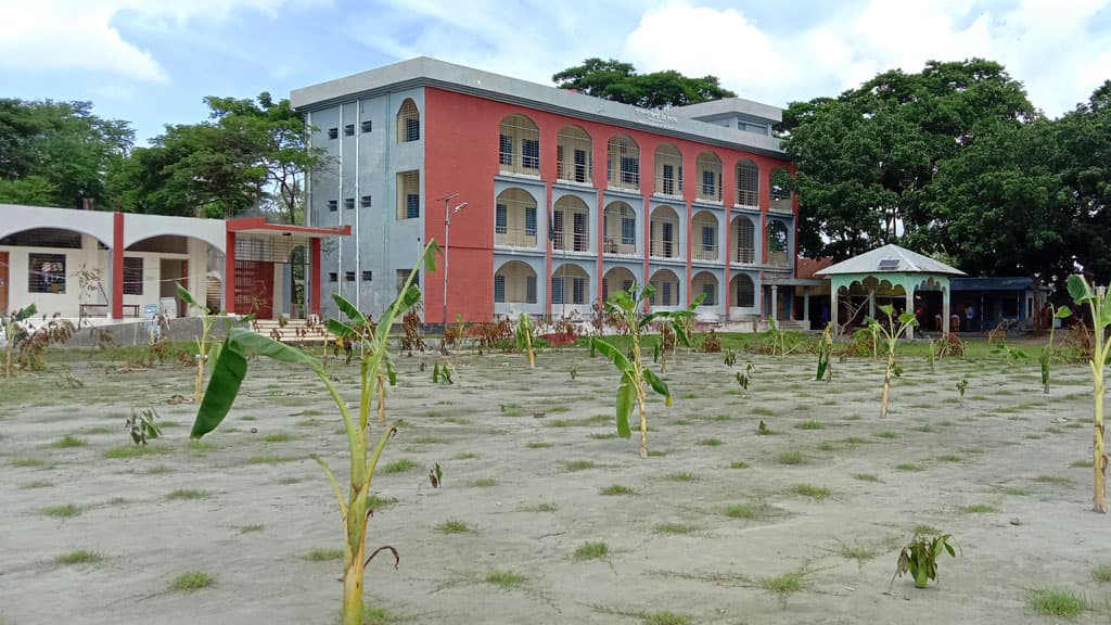 কলাগাছ লাগিয়ে স্কুল মাঠ দখল