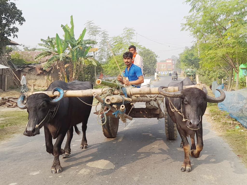 দিনের ছবি (২৪ নভেম্বর, ২০২৩)