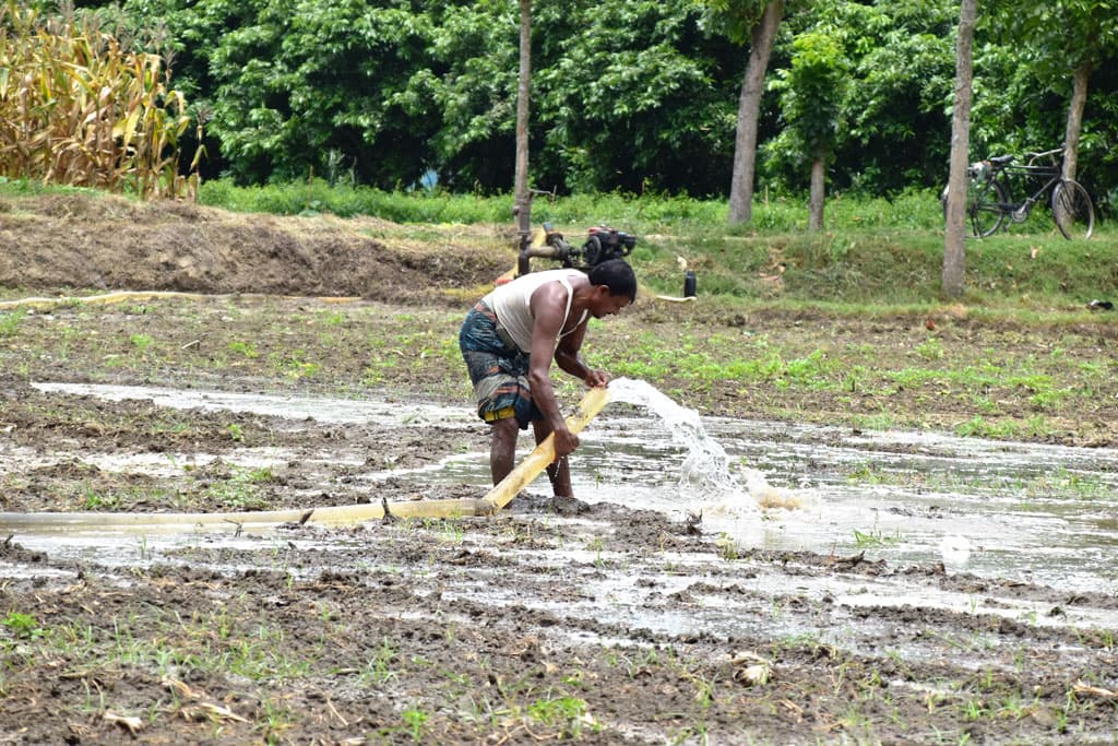 দিনের ছবি (৩ আগস্ট, ২০২৩)