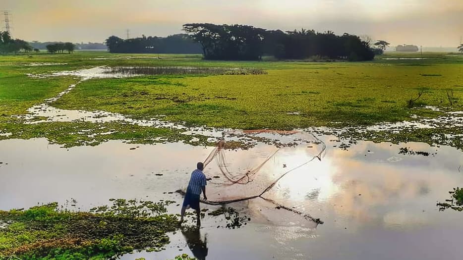 বর্ষায় মাছ শিকারের ধুম