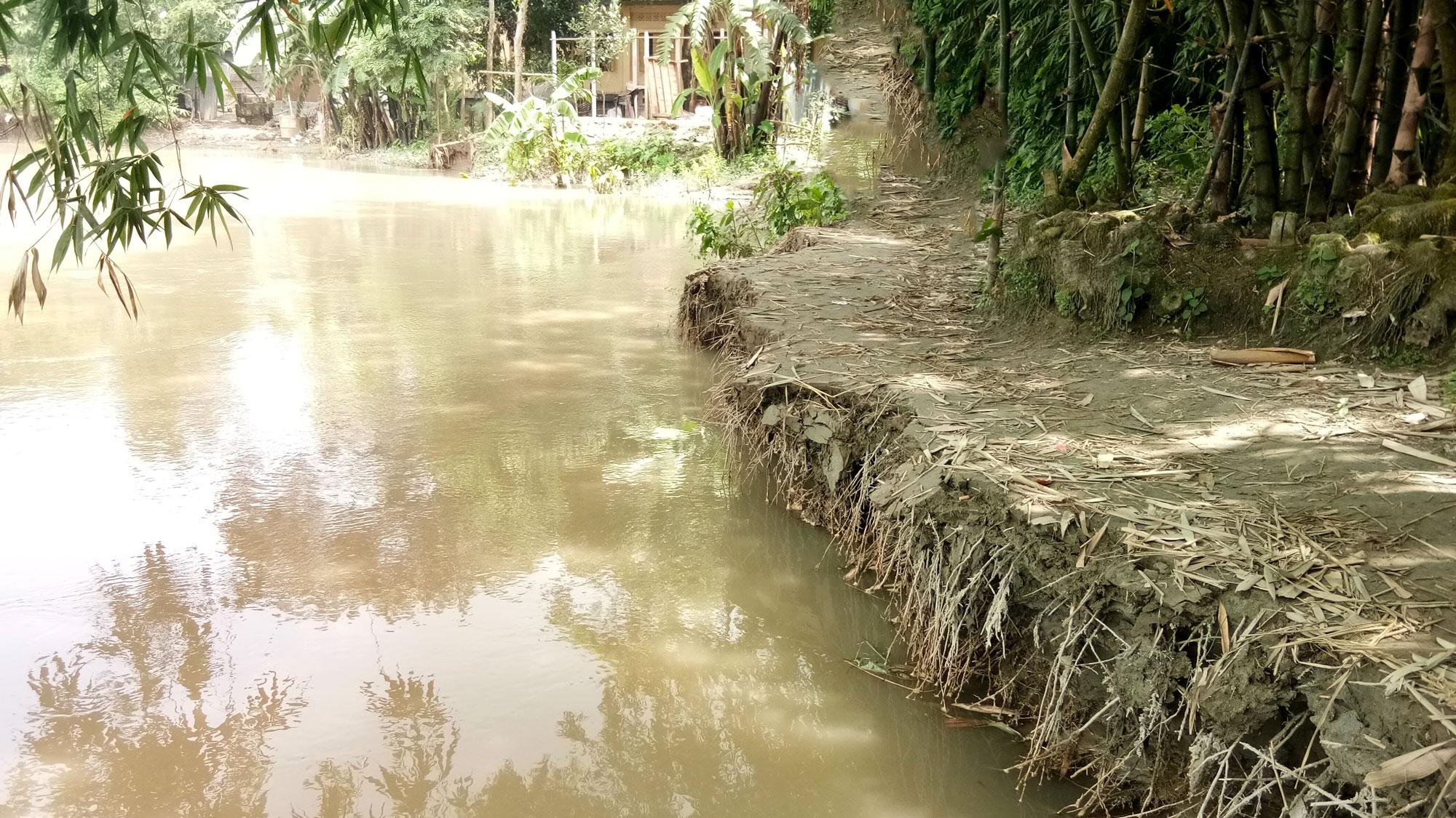 সাটুরিয়ায় নদী ভাঙনে ঝুঁকিতে শিক্ষাপ্রতিষ্ঠান ও রাস্তাঘাট