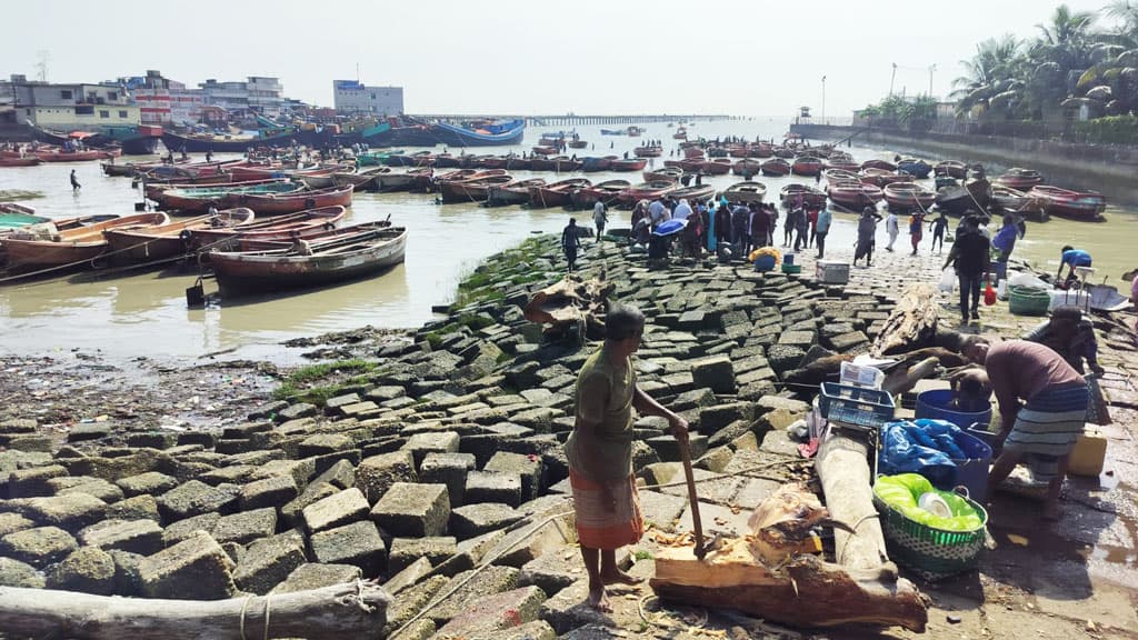 ইলিশ শূন্য সন্দ্বীপ চ্যানেল, ৪ কারণ বললেন সমুদ্র বিশেষজ্ঞ