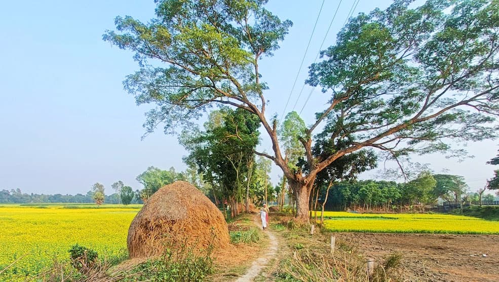 দিনের ছবি (৯ জানুয়ারি, ২০২৪)