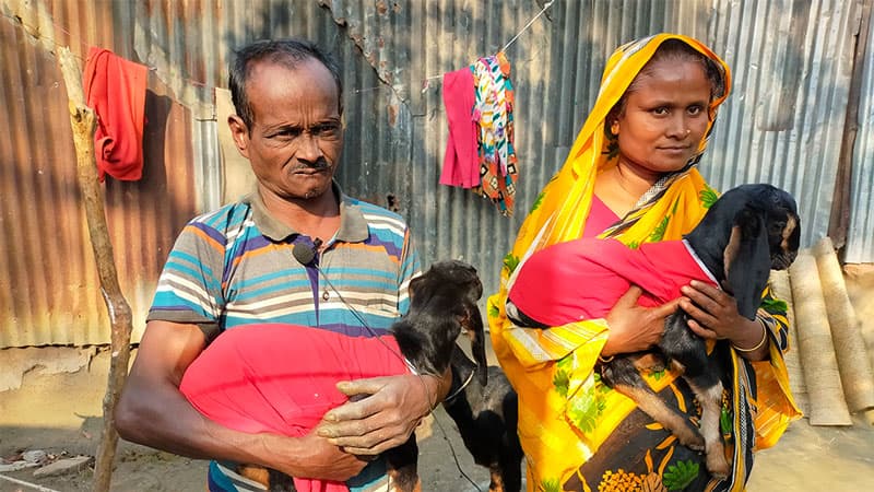 ছাগলের ‘খৎনায়’ এলাহিকাণ্ড