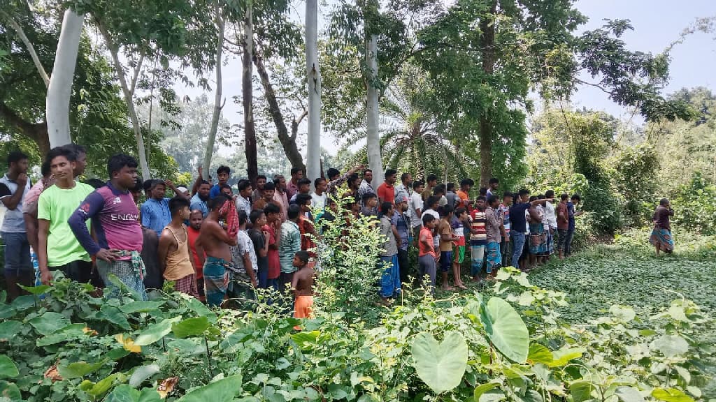 দিনাজপুরে বিএসএফের গুলিতে বাংলাদেশি কিশোর নিহত 