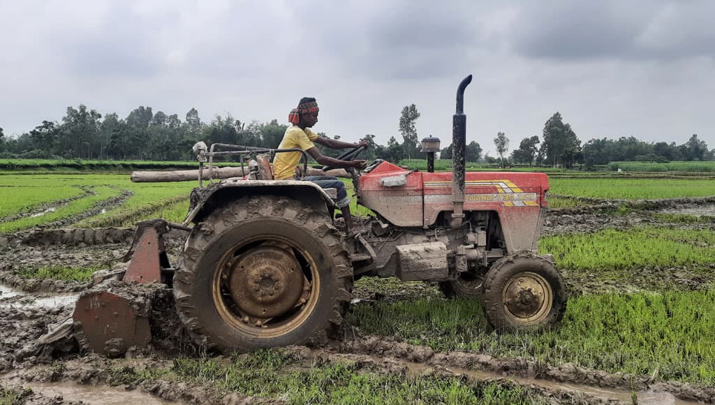 প্রযুক্তি ব্যবহারে সফল কৃষক