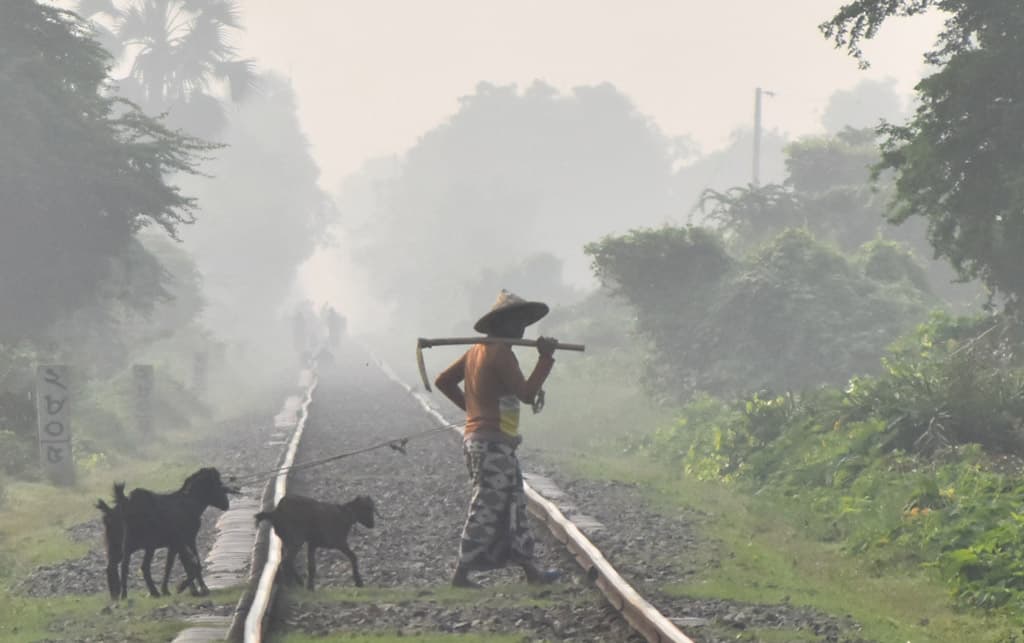 দিনের ছবি (২২ অক্টোবর ২০২৪)