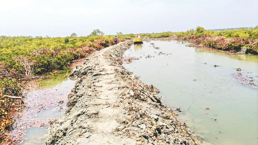 সোনাদিয়া প্যারাবনে দখলদারের থাবা, নেতৃত্বে রাজনৈতিক নেতা