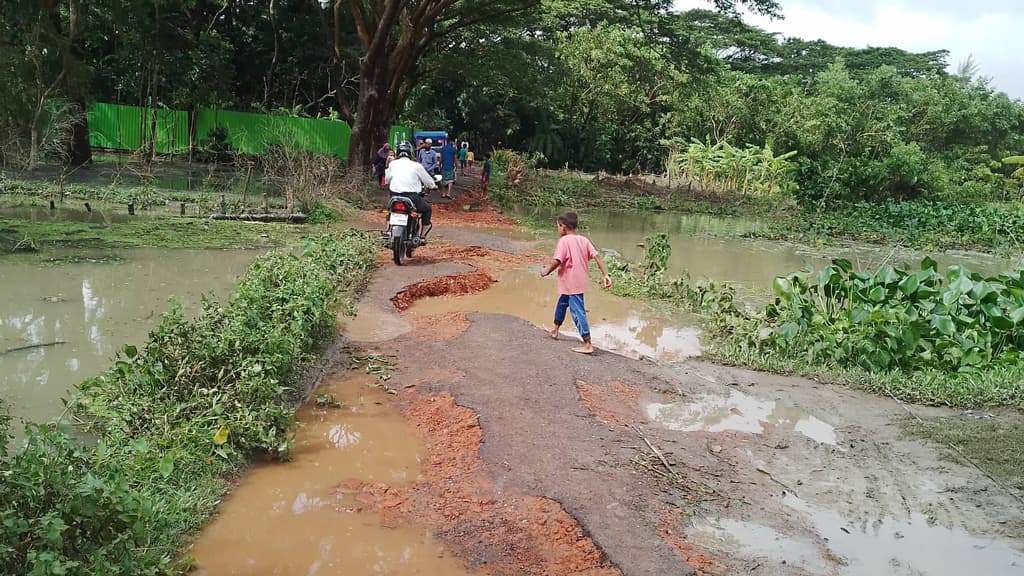 ভেঙেছে ৩০ কিমি সড়ক