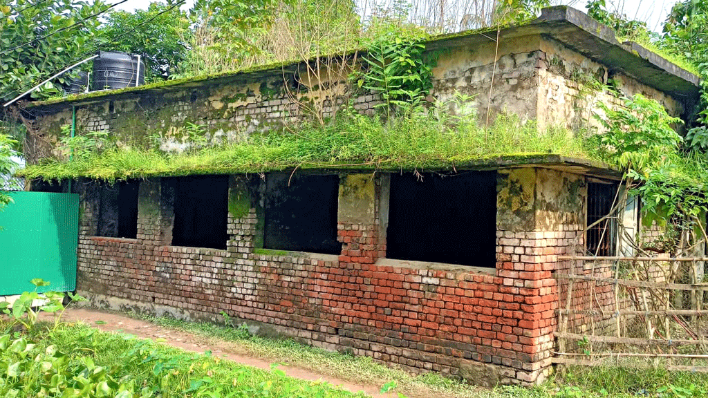 মোরেলগঞ্জের স্টেডিয়ামের ভবন এখন মরণফাঁদ