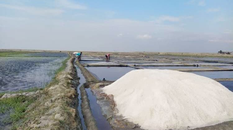 লবণ চাষে খরচ বেশি  দাম   নিয়ে শঙ্কায় চাষি