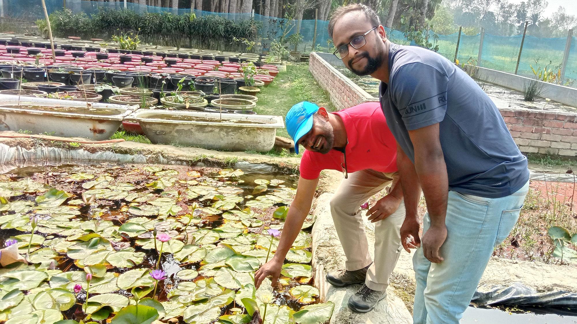 তানভীরের বাগান ও হাজারি গুড়ে মুগ্ধ সংসদ সদস্য