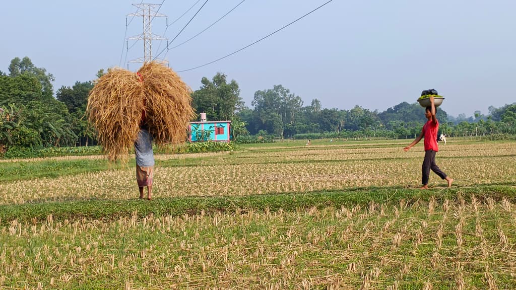 দিনের ছবি (২৩ মে, ২০২৪)