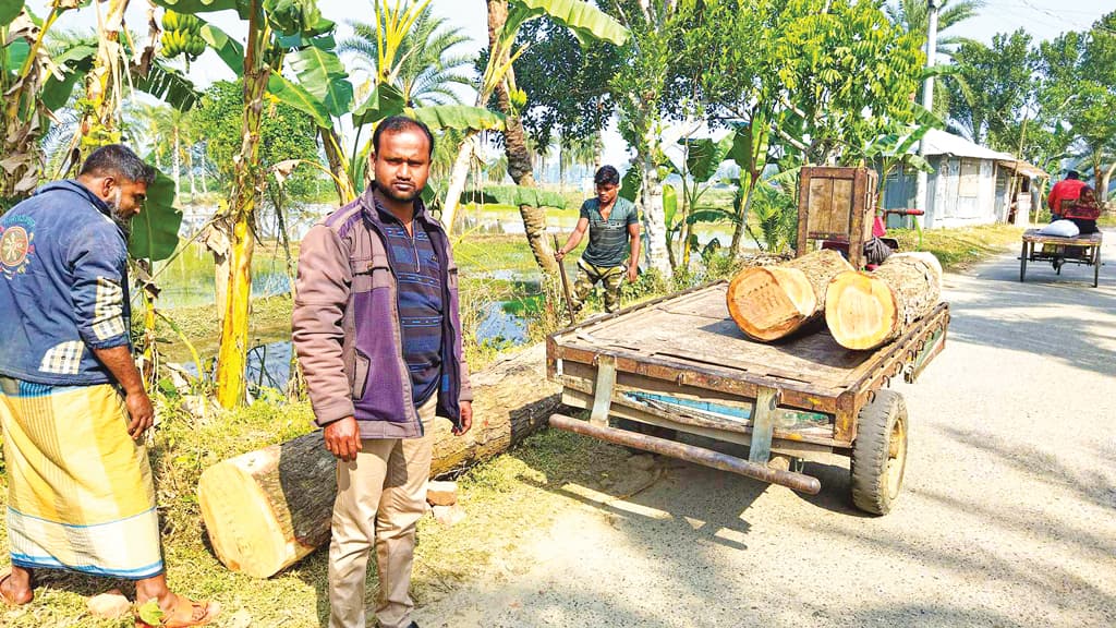 মনিরামপুরে সরকারি রাস্তার গাছ কাটার অভিযোগ