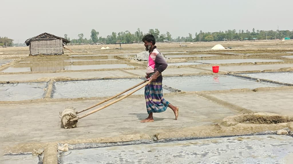 লবণ উৎপাদন শুরু, দামে হতাশ চাষি