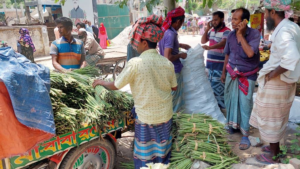 স্থানীয় চাহিদা মিটিয়ে দুর্গাপুরের শজনে যাচ্ছে সারা দেশে