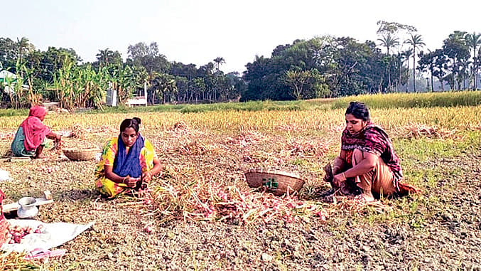 নারীরাও নেমেছেন মাঠে