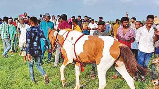 ঘোড়দৌড় দেখতে ভিড়