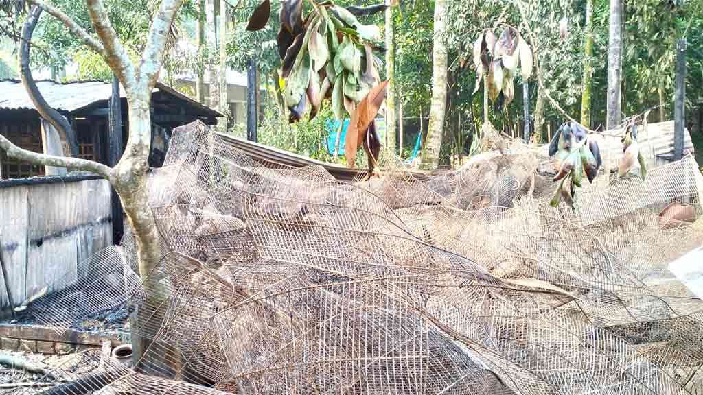 চিতলমারীতে আগুনে পুড়ল ৪ হাজার পাখি