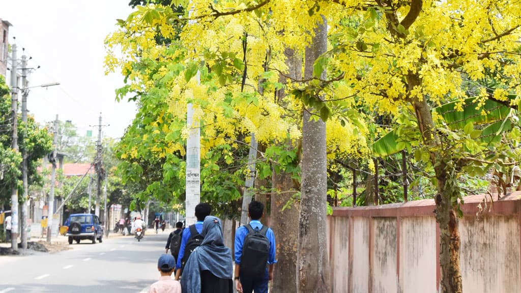 পথের ধারে সোনারঙা সোনালু