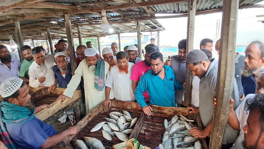 নিষেধাজ্ঞা শেষে সরগরম চাঁদপুরের ইলিশের আড়ত