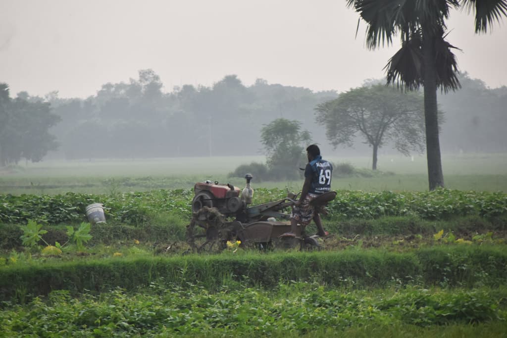 দিনের ছবি (২৬ অক্টোবর ২০২৪)