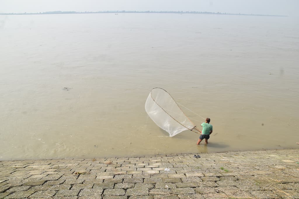 দিনের ছবি (৩ নভেম্বর ২০২৪)