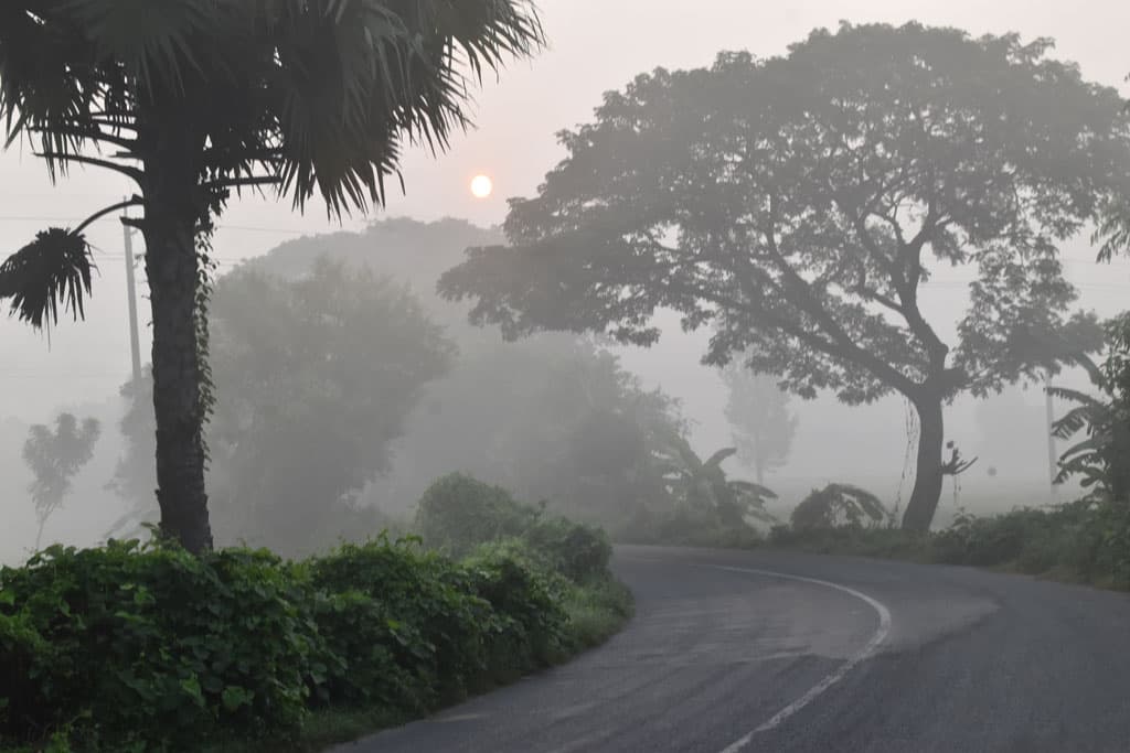 দিনের ছবি (৩১ অক্টোবর ২০২৪)