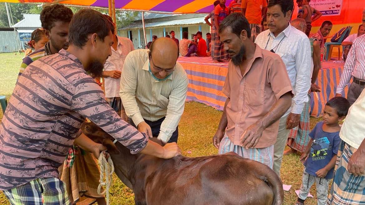 মধুপুরে বিনা মূল্যে গবাদিপশুর চিকিৎসা