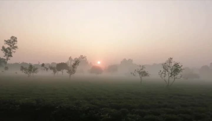 চুয়াডাঙ্গায় তাপমাত্রা ১০ ডিগ্রির নিচে, জনজীবনে স্থবিরতা