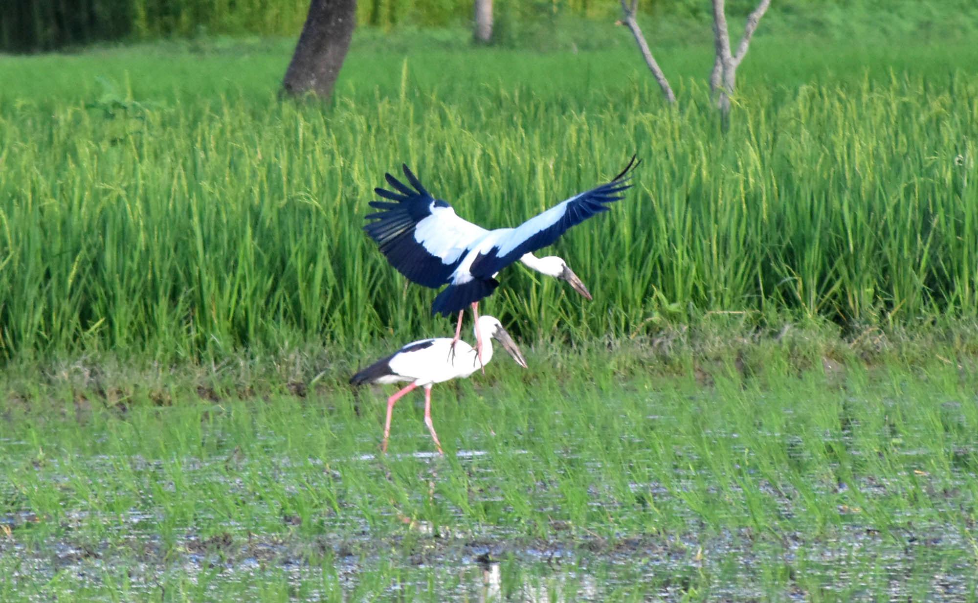 দিনের ছবি (৯ জুলাই, ২০২৩)