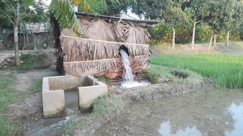 লোডশেডিং ও খরায় বিপাকে আমনচাষিরা