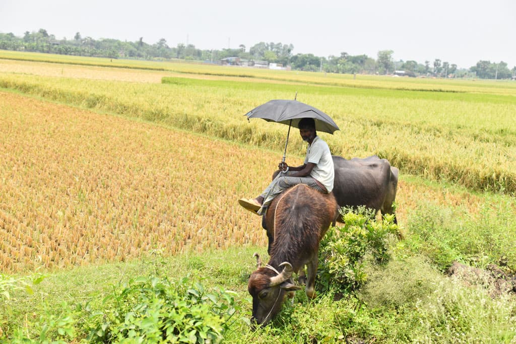 দিনের ছবি (১১ মে, ২০২৪)