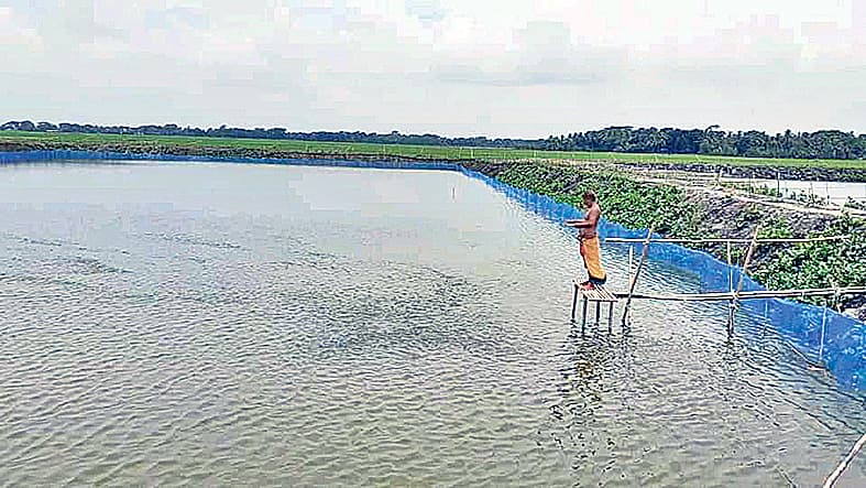 শত্রুতায় চিংড়িতে আগ্রহে ভাটা