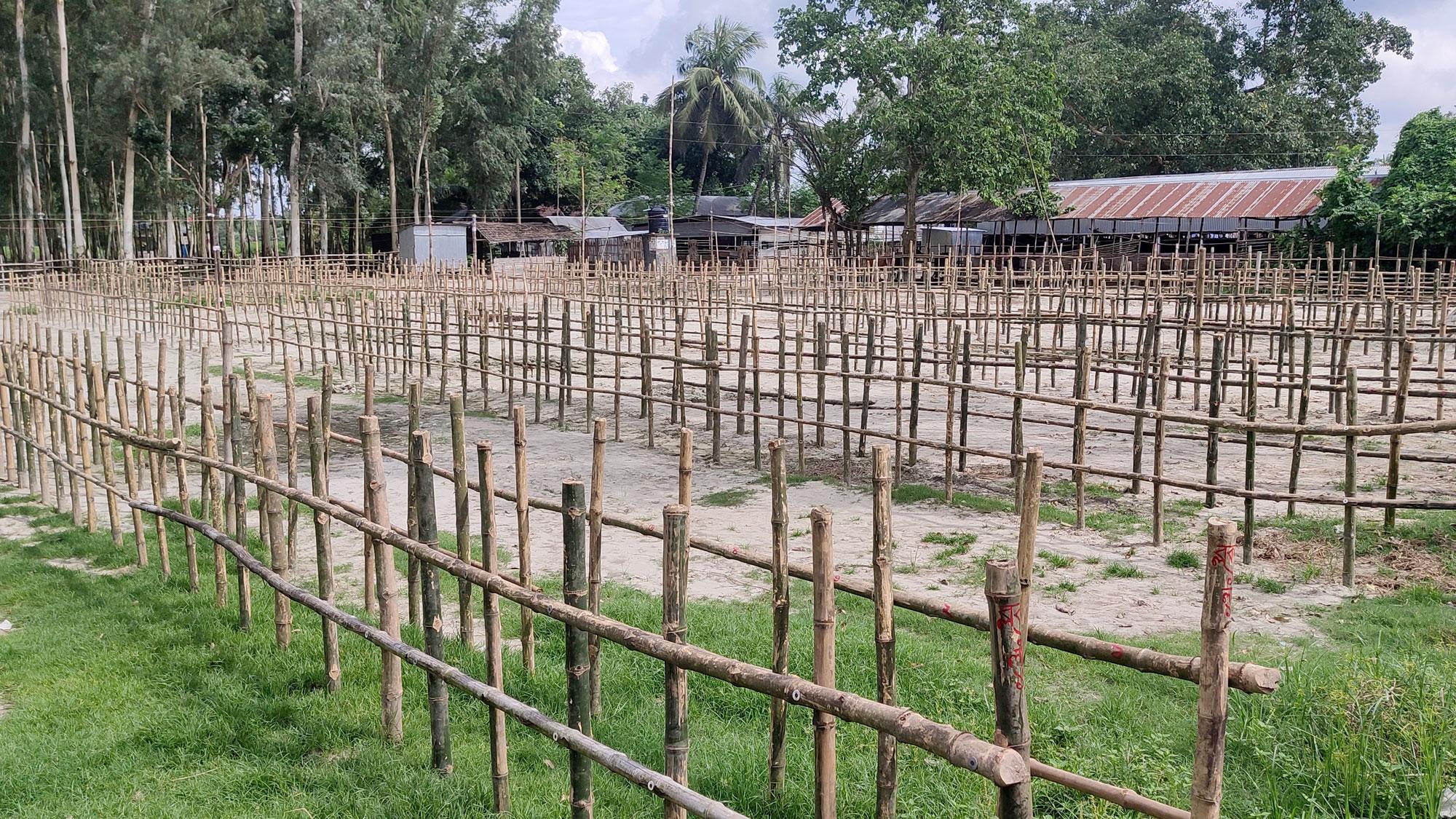 স্বাস্থ্যবিধি মেনে শুক্রবার বসছে উল্লাপাড়ার বৃহত্তর গ্যাসলাইন পশুর হাট